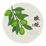 橄榄
