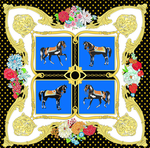 丝巾