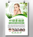 叶绿素焕肤