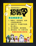 宠物店招聘