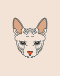 斯芬克斯猫