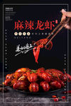 麻辣龙虾海报