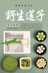 野生莲子海报