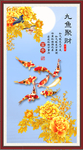 九鱼聚财