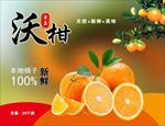 沃柑海报