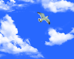 天空