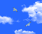 天空