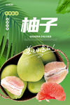 柚子海报