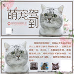 房地产 大牌 单页 户外 高炮