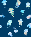 水母