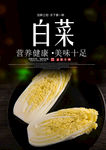 白菜海报