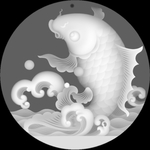 扫描鲤鱼图