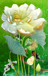 荷花富贵图