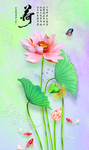 荷花鱼 蝴蝶