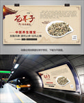 中药苍耳子海报灯箱挂画展板单页