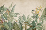 植物背景大图