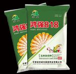 玉米种子