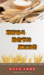 节约粮食