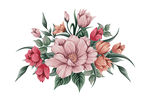 花儿一束花手绘插画