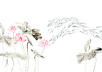 荷花