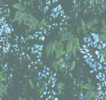 叶子小花