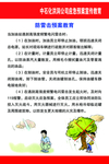 防雷击预案教育
