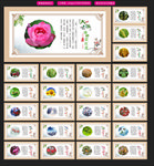 二十四节气