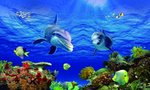 海洋生物