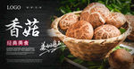 香菇海报 花菇海报