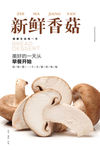 香菇海报