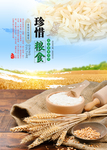 珍惜粮食