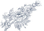 现代装饰花卉背景素描线描手绘