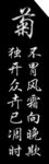 菊灰度图