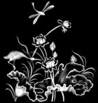 荷花灰度图