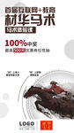 中华武术马术创意海报设计