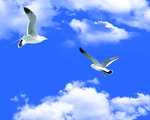 天空