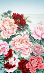 牡丹花开