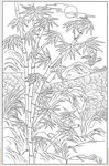 白描竹林
