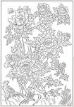 牡丹花