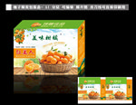 柑橘 橘包装 橘礼盒