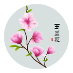 玉兰花