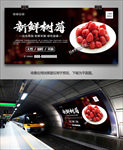 新鲜树苺展板易拉宝挂画灯箱海报