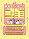 猫咪寄养