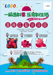 火龙果单张