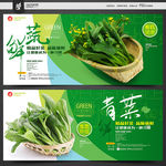 青菜 菜心
