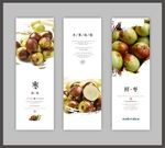 鲜枣海报展板