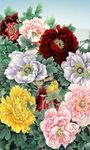 花开富贵竖幅