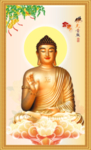 释迦摩尼 佛光普照