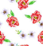 杜鹃花