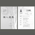 淡雅简历模板